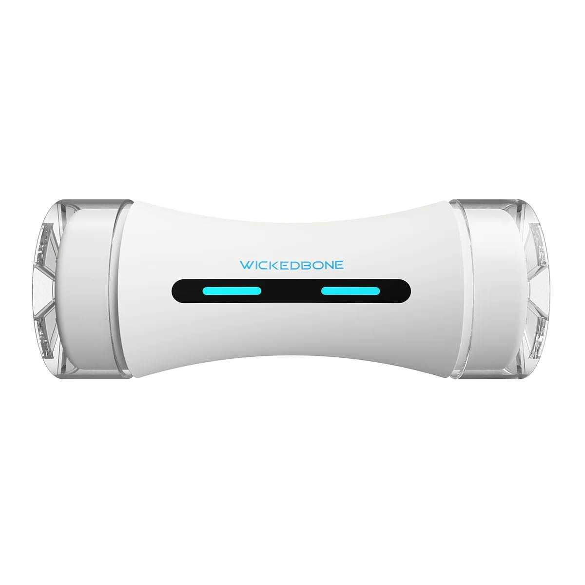 Automatic Interactive Dog Toys B30764