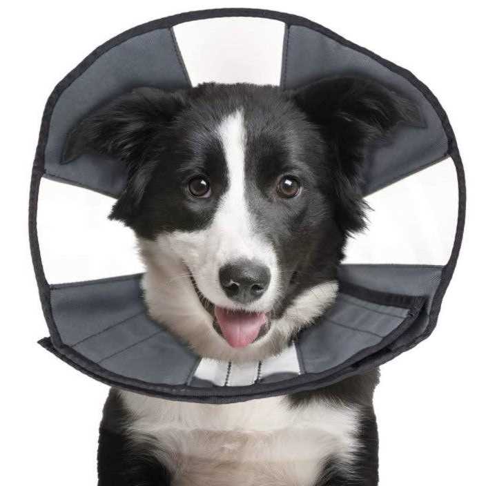 Soft Recovery Collar P82444