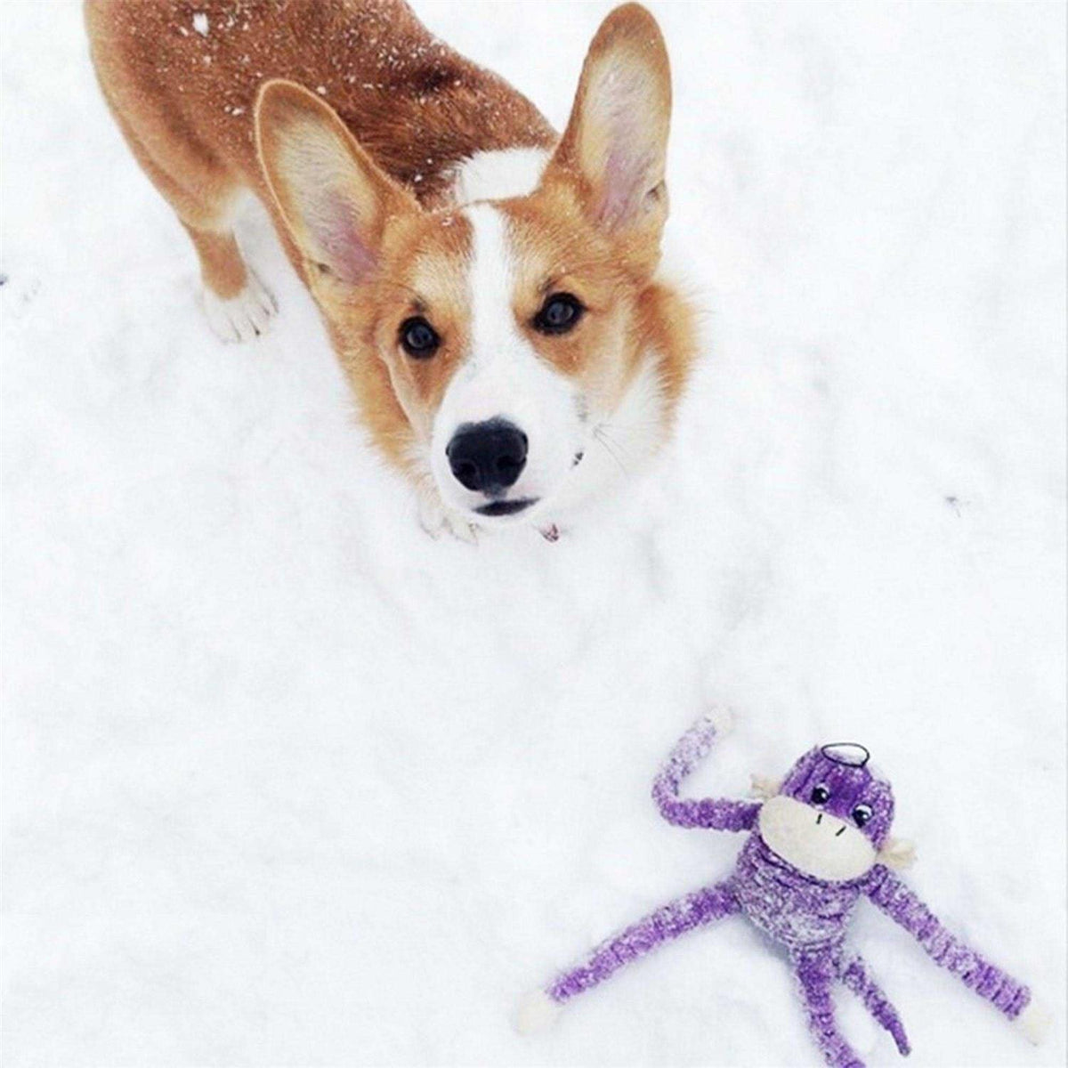 Crinkle Monkey Dog Toy E4933