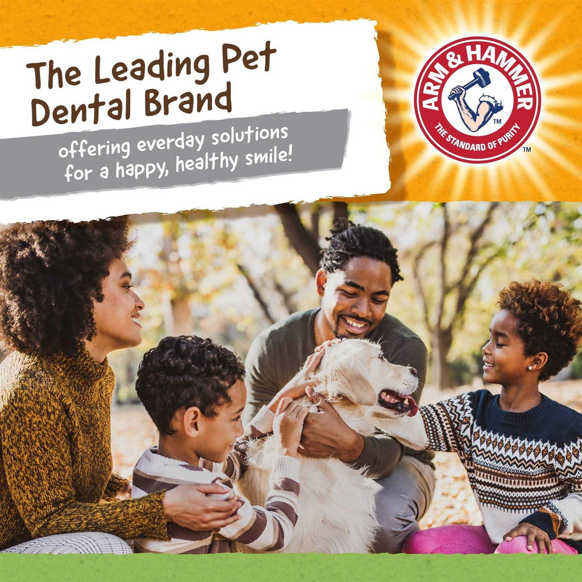 Dog Dental Toy D698239