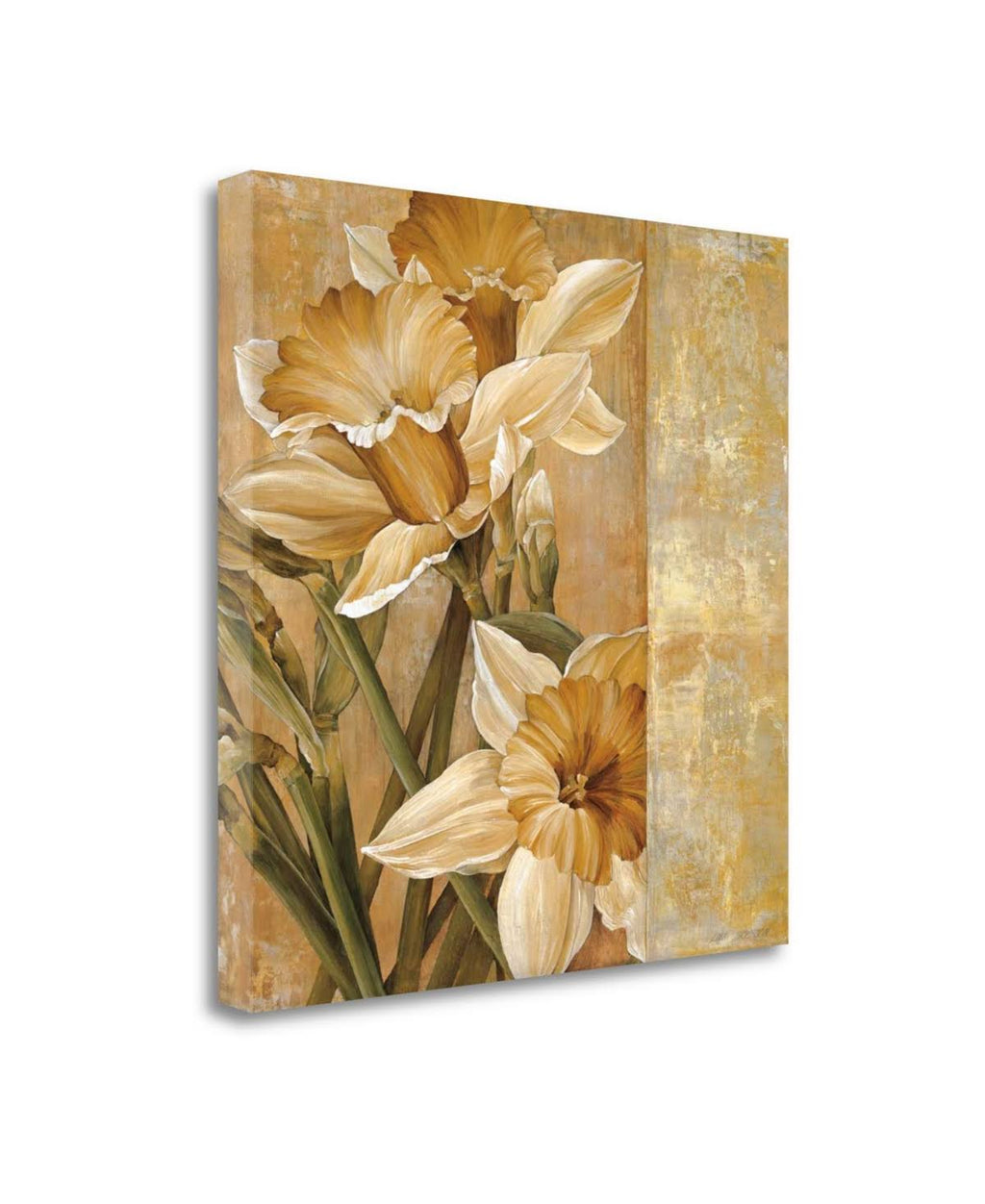 Champagne Daffodils Giclee Print on Gallery Wrap Canvas M337674