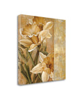 Champagne Daffodils Giclee Print on Gallery Wrap Canvas M337674