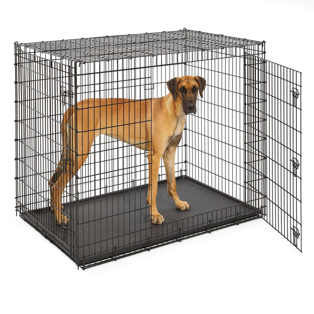 Double Door Dog Crate V89622