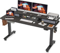 48 x 24 Inch Electric Standing Desk with Double Drawer and Storage Shelf I620