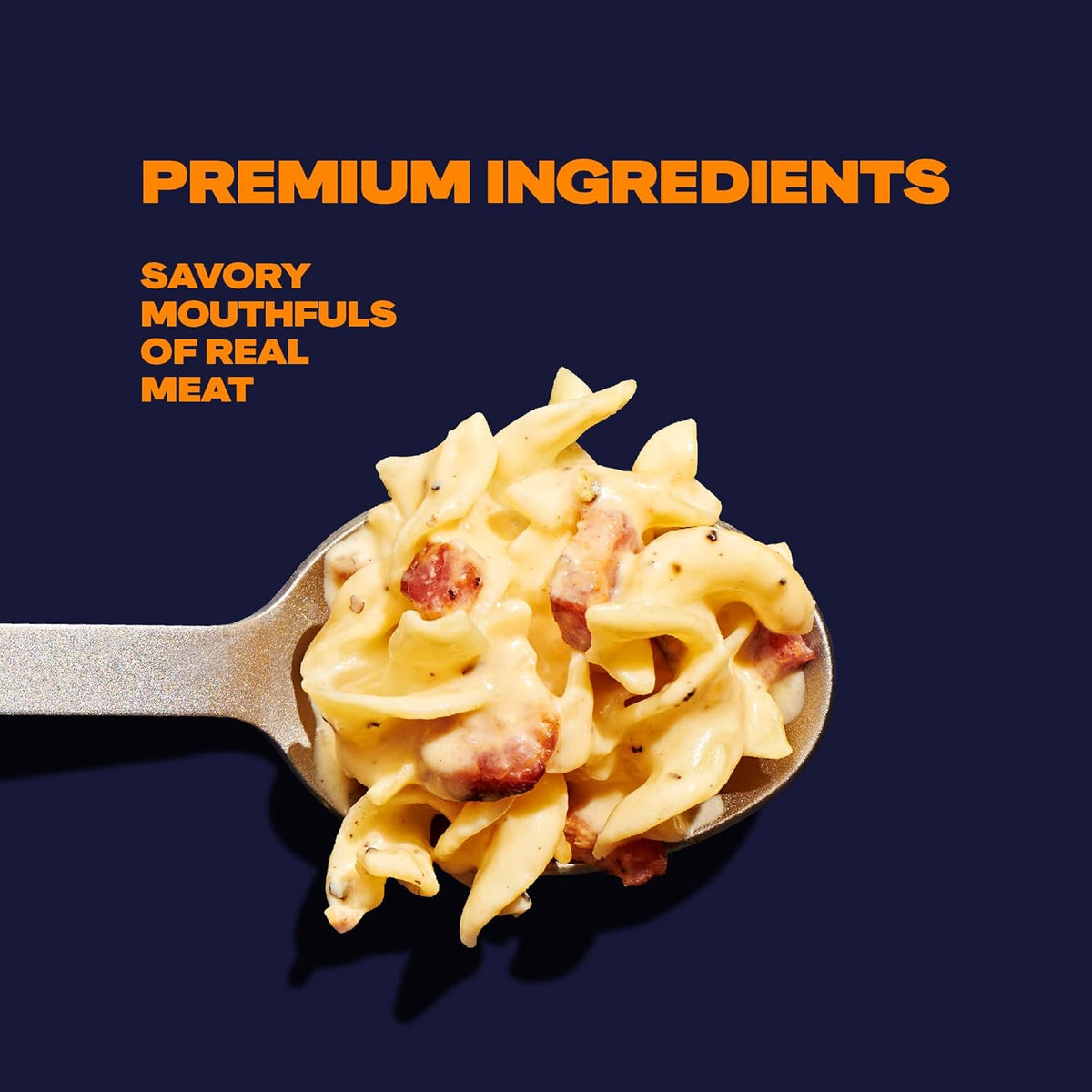 Mountain Food Pasta Carbonara Freeze Dried Meals 2 Servings D45098