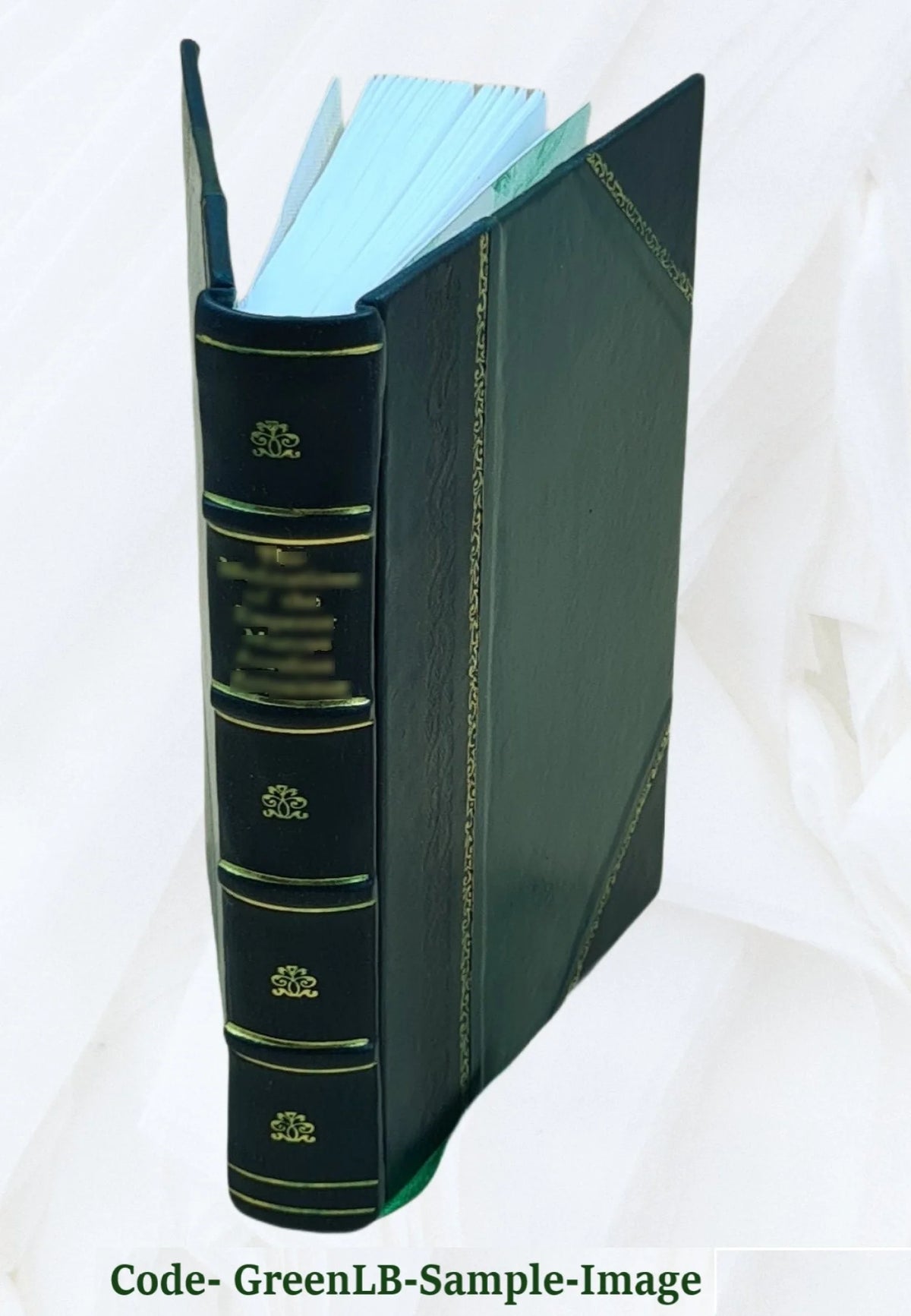 Leather Bound Book B2805