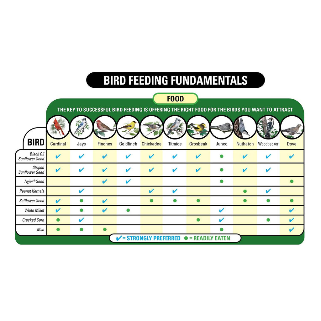 Wild Bird Food with Cherry Flavor H664855