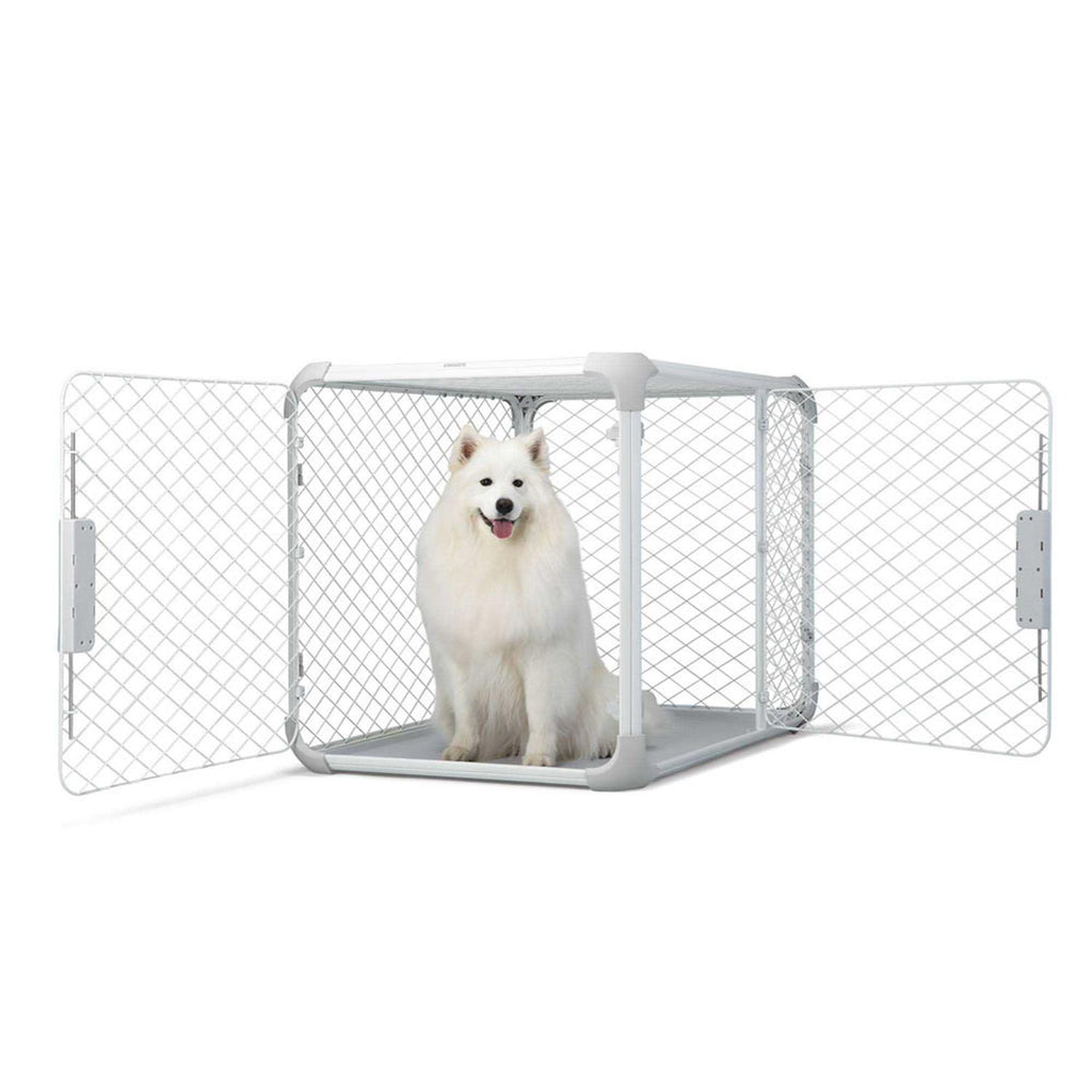 Dog Crate F349