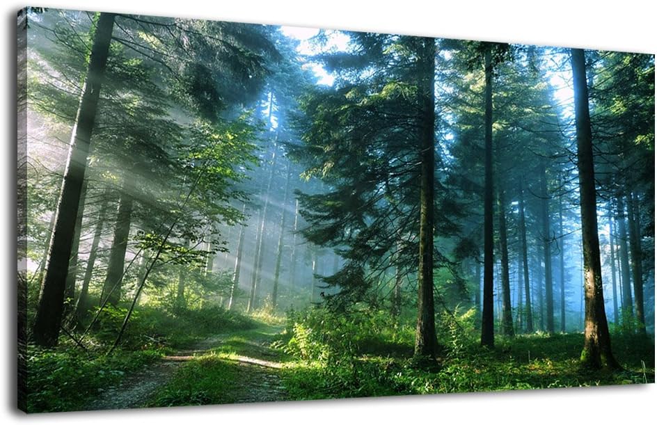 Large Size Canvas Wall Art of Grand Teton National Park I2243
