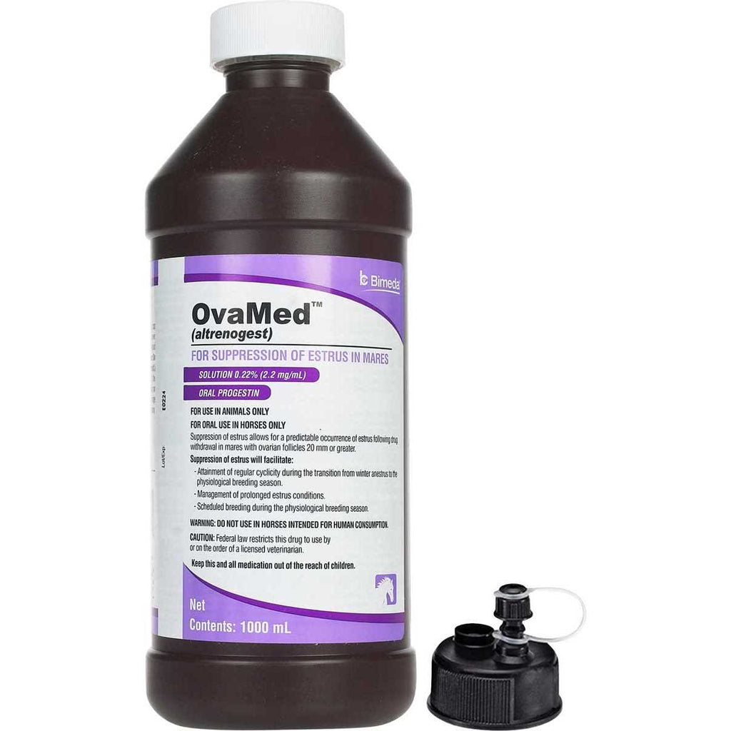 Pet Supplies I230218