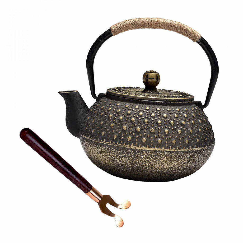 Cast Iron Teapot Tea Kettle Q32986