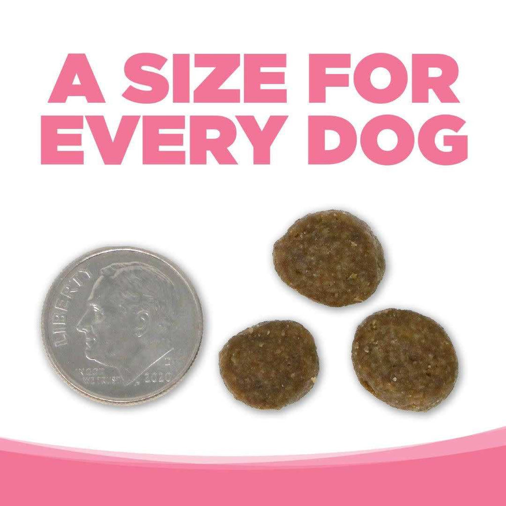 Grain Free Salmon Dog Food V576030