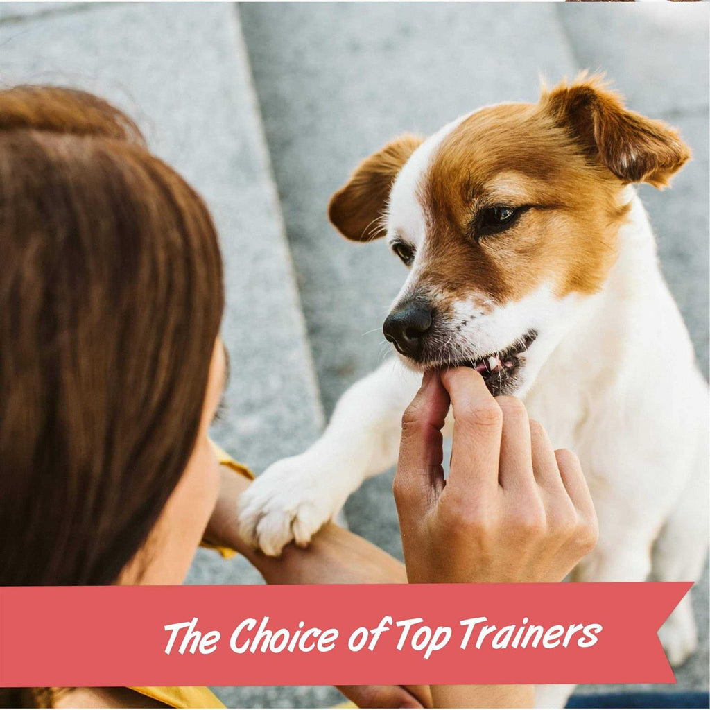 Training Rewards Dog Treats Y9699
