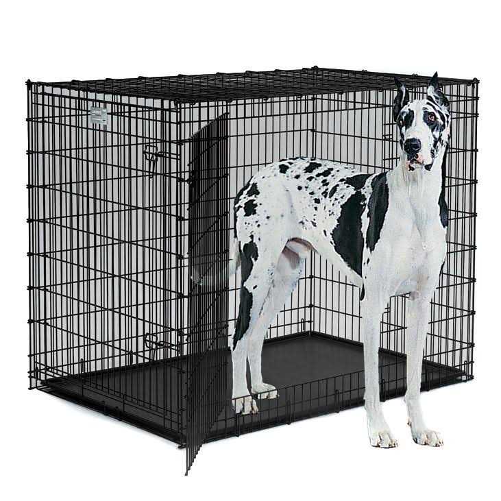 Double Door Dog Crate V89622