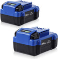 24V 5.0Ah Lithium Ion Cordless Tools Battery 2Pack C263