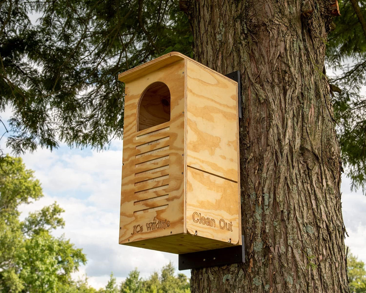 Barred Owl Nesting Box with Mounting Hardware and Pine Shavings A978269