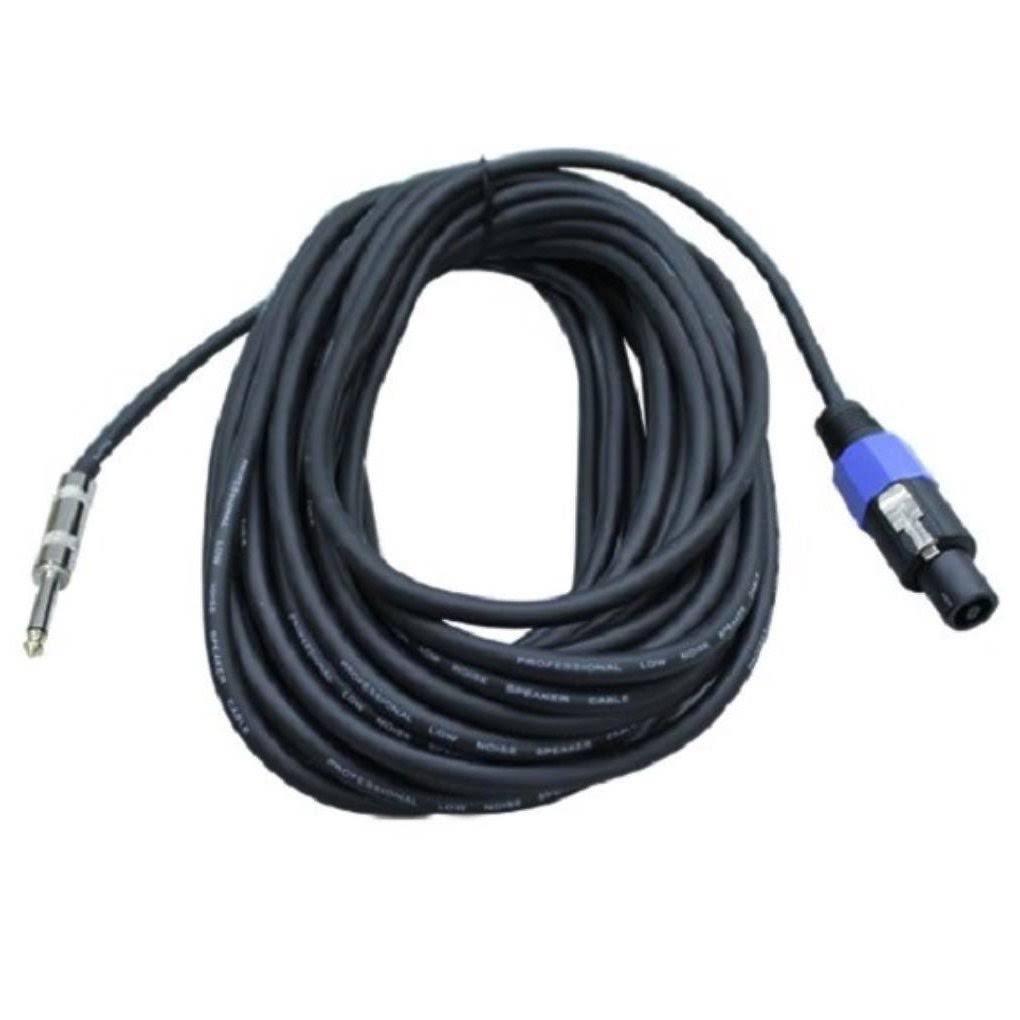 100 ft Male to Male Speaker Cable X939651