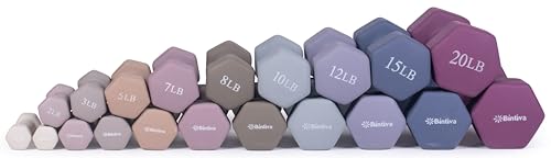 Neoprene Coated Hex Dumbbell Set with Rack 1-20 LBs W493259