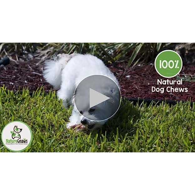 Natural Dog Chews Variety Pack X60437