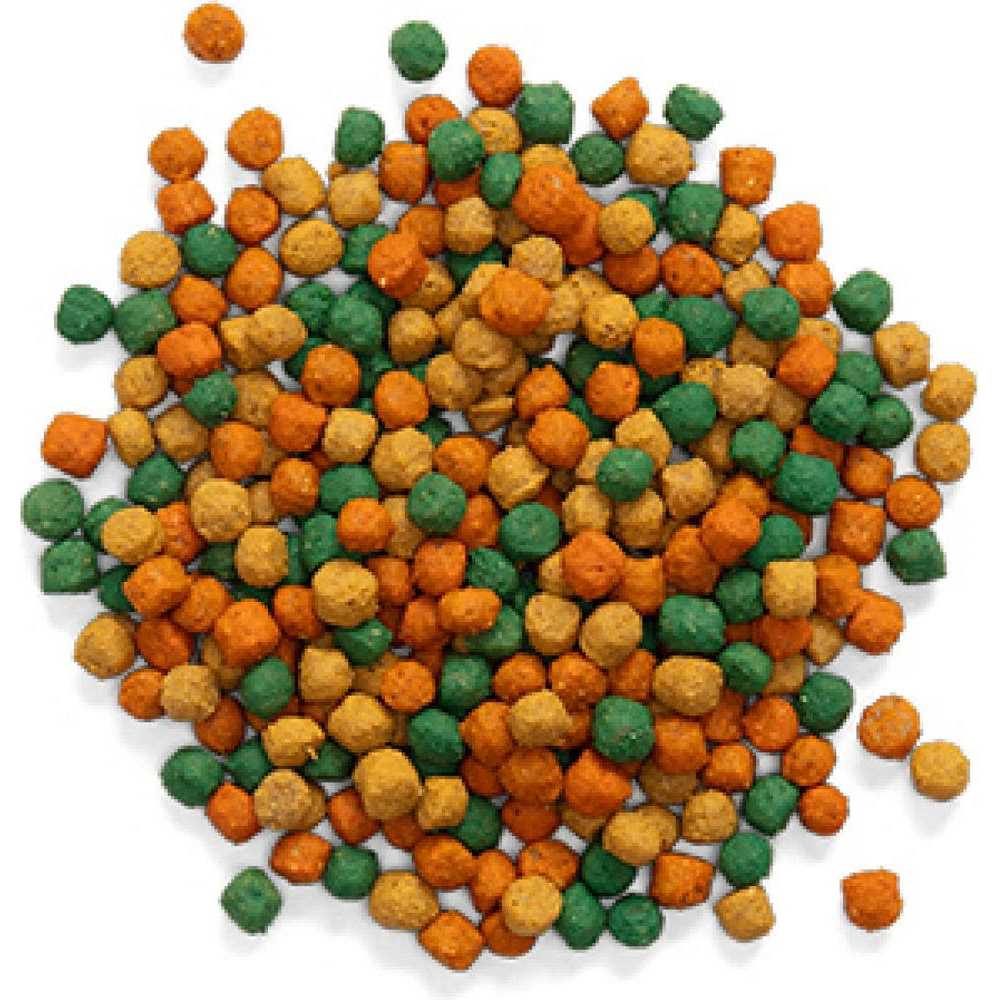 Medium Birds Bird Food K673123