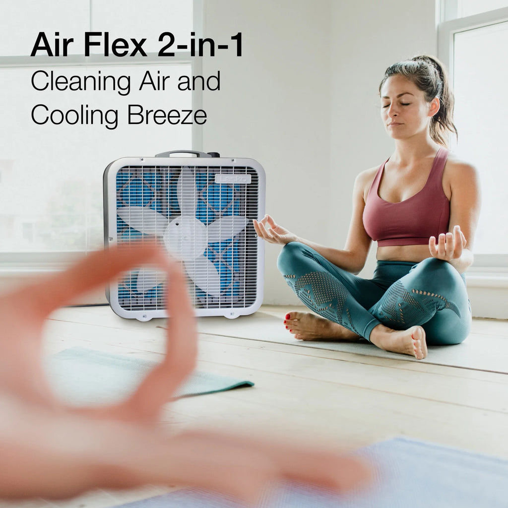 White 3-Speed 2-in-1 Box Fan and Air Purifier G377611