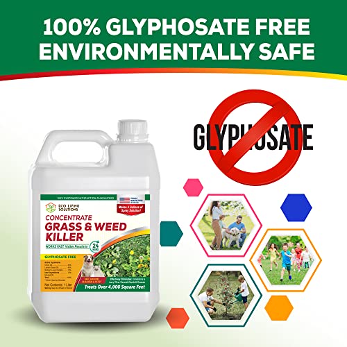 Weed Killer Concentrate E587912