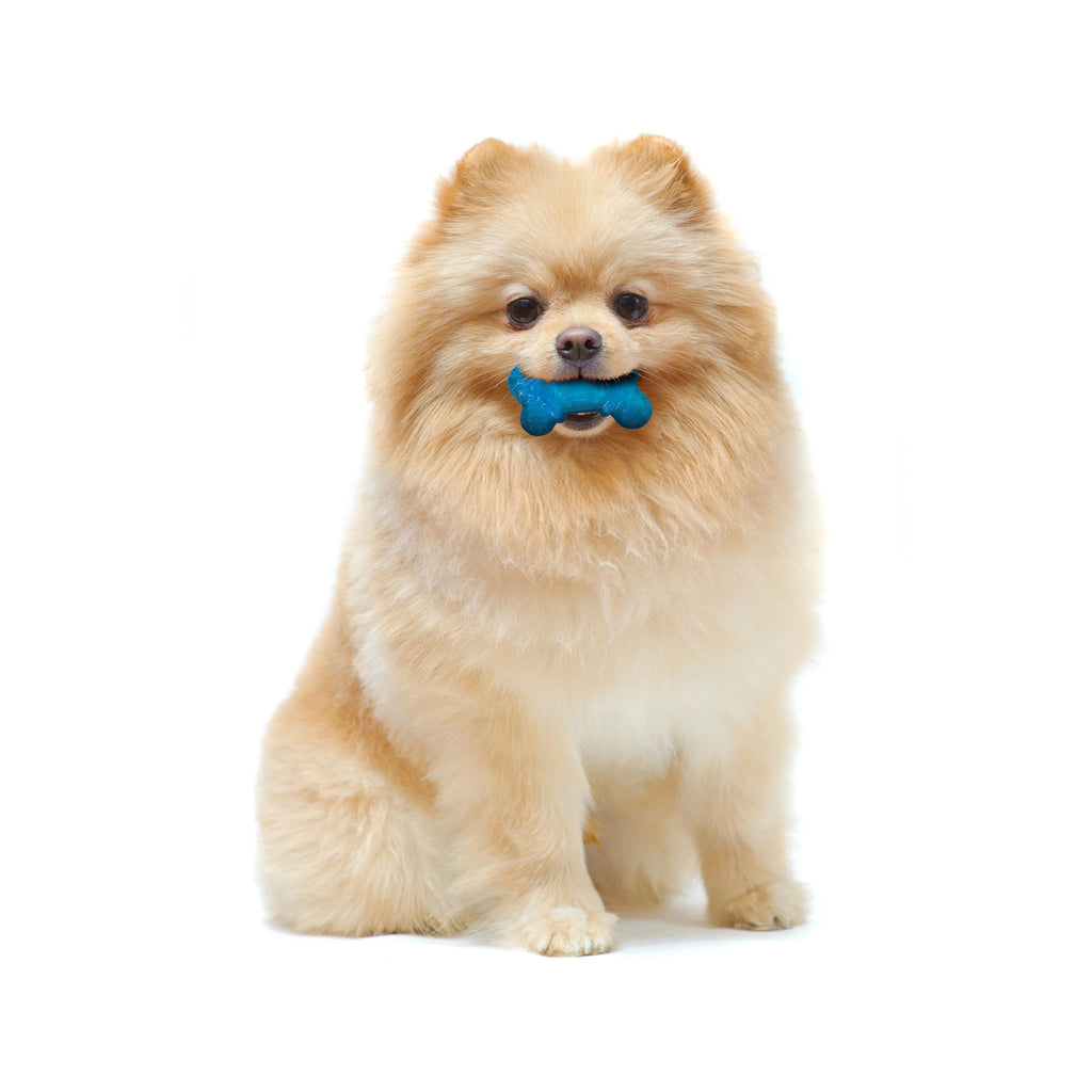 Bacon & Peanut Butter Flavor Dog Chew Toy Q8682