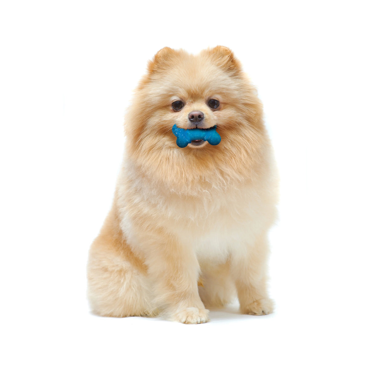 Bacon & Peanut Butter Flavor Dog Chew Toy Q8682