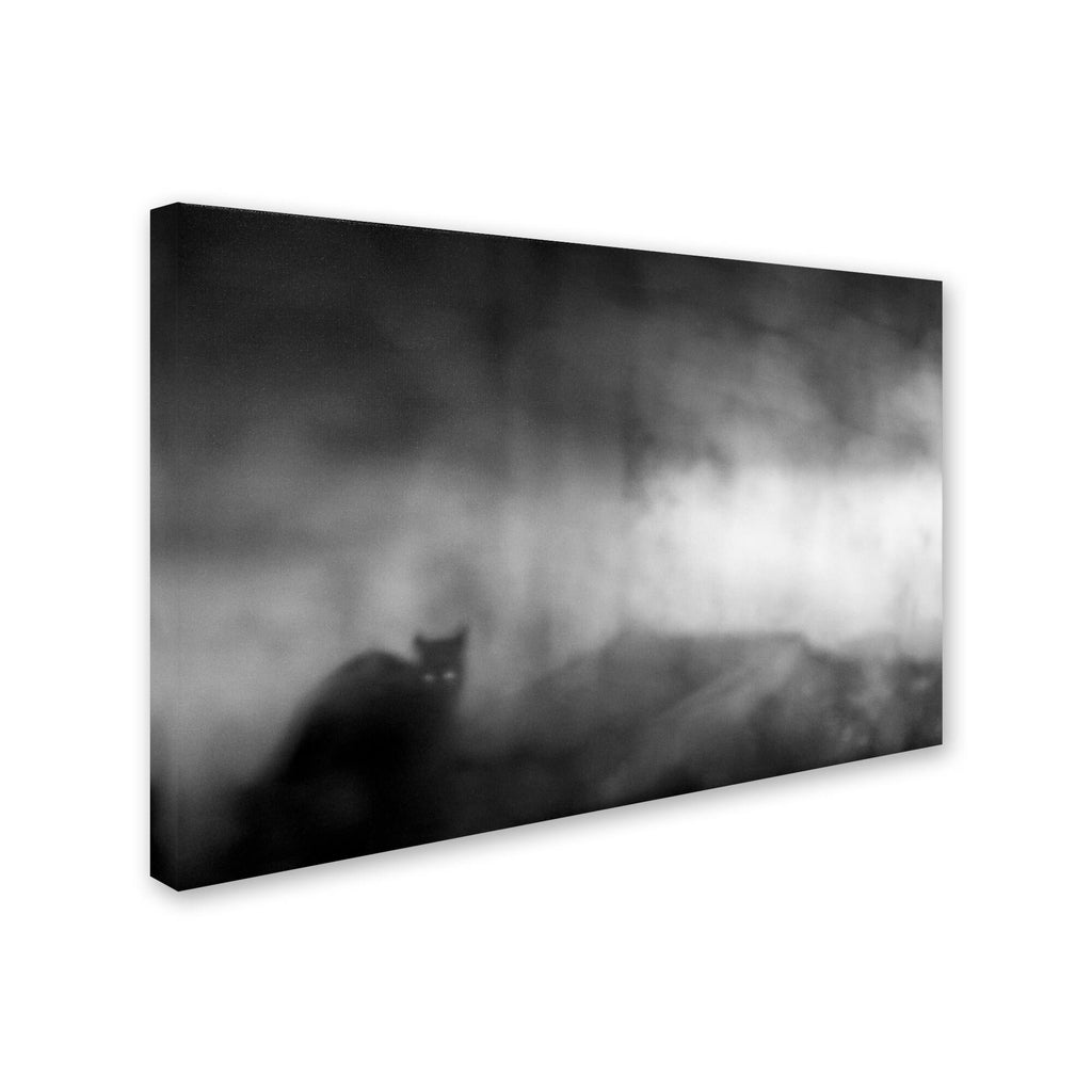 Canvas Art H462