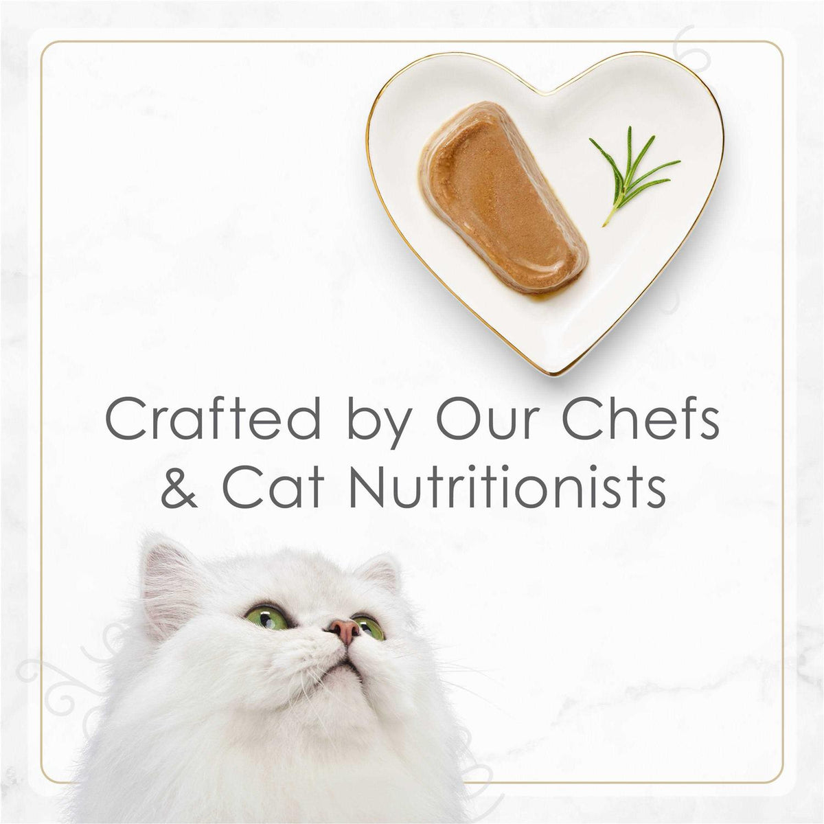 Wet Cat Food B42054