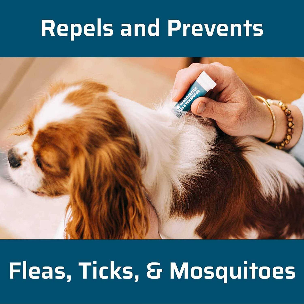 Flea & Tick Spot On for Dogs J454