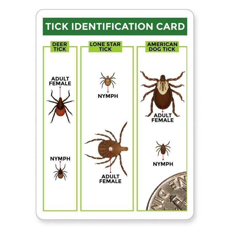 3 Pack Tick Remover Tools + Tick Identification Card W97975