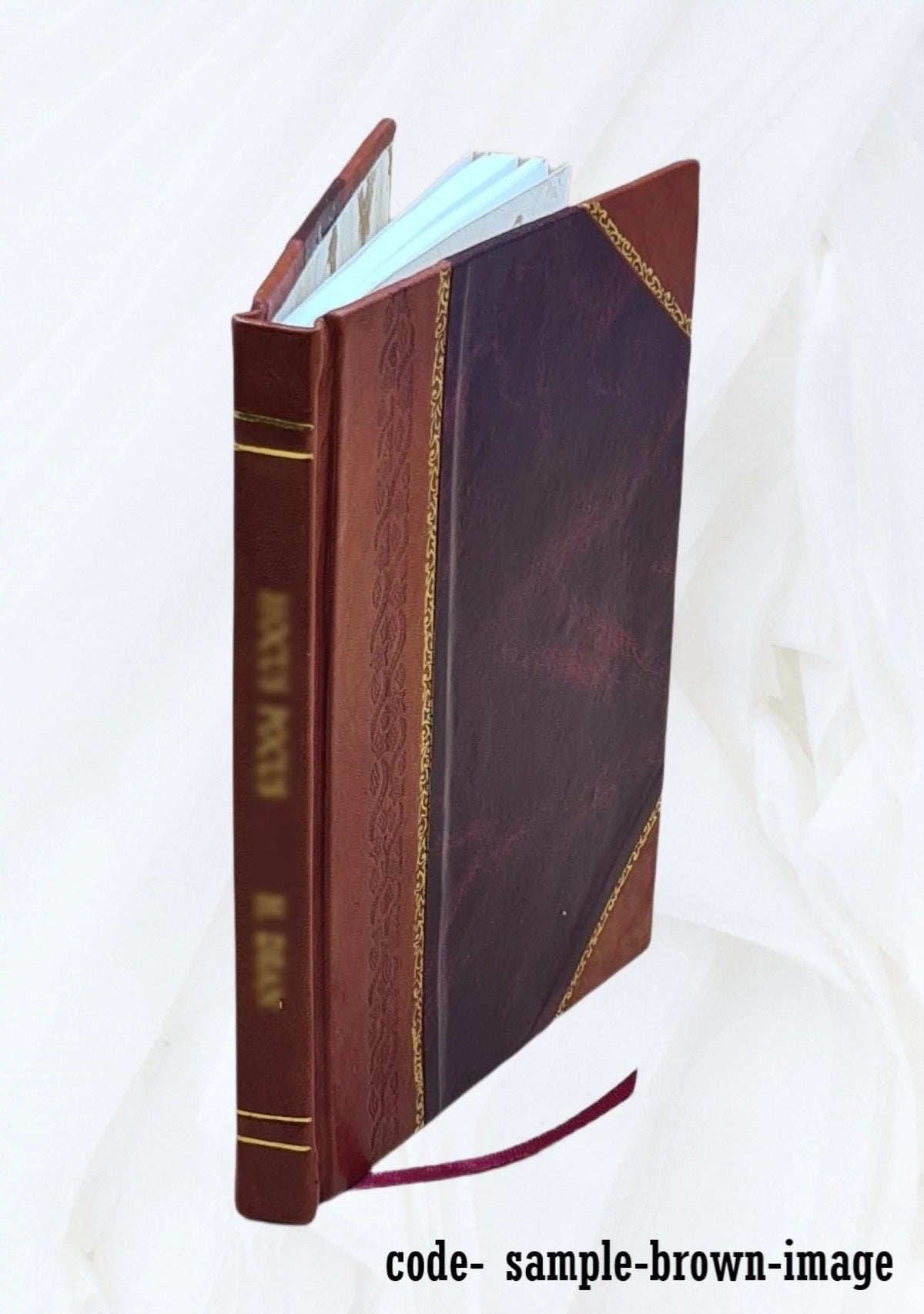 Leather Bound E64095