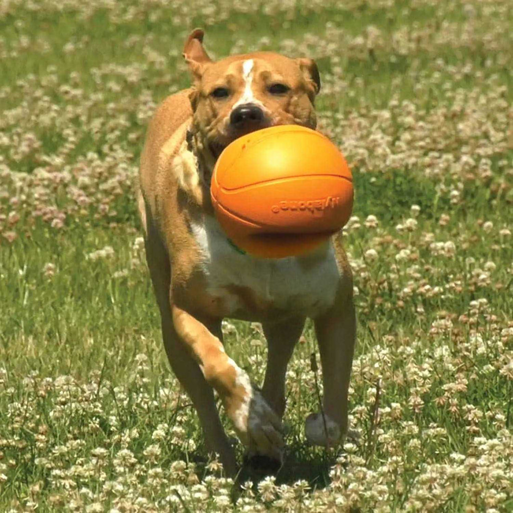 Dog Toy P278814