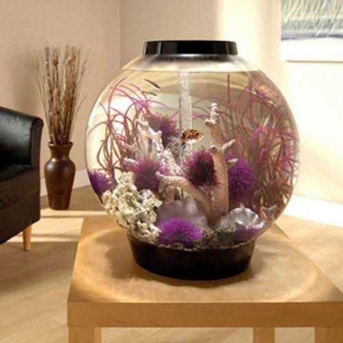 Classic 60 Aquarium with LED N477754