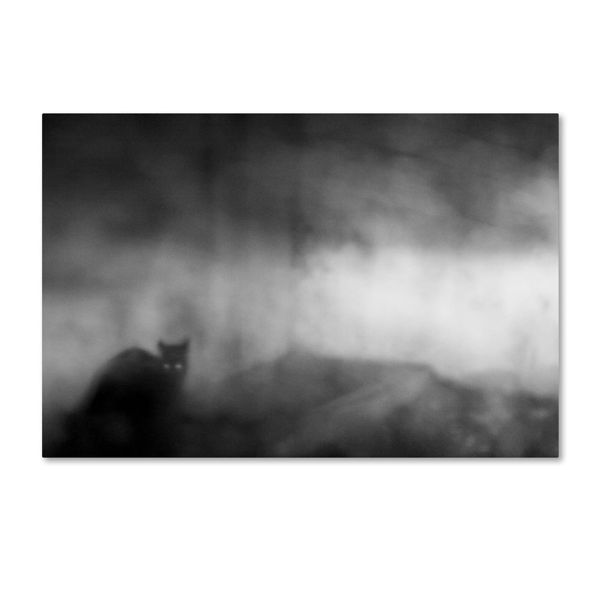 Canvas Art H462