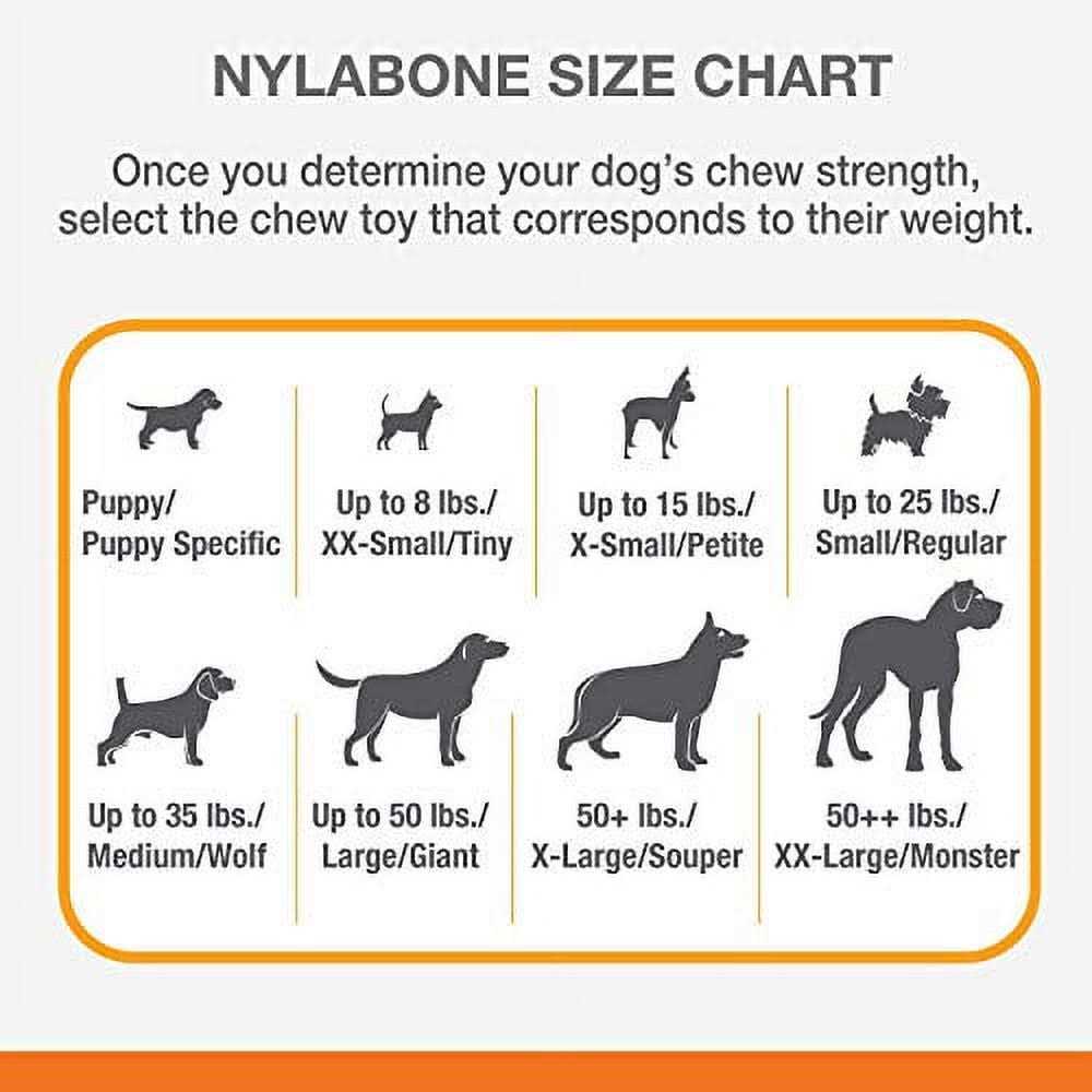 Dog Chew Toy Bundle N9444