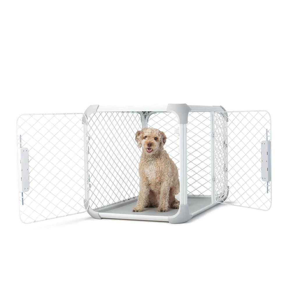 Dog Crate F349