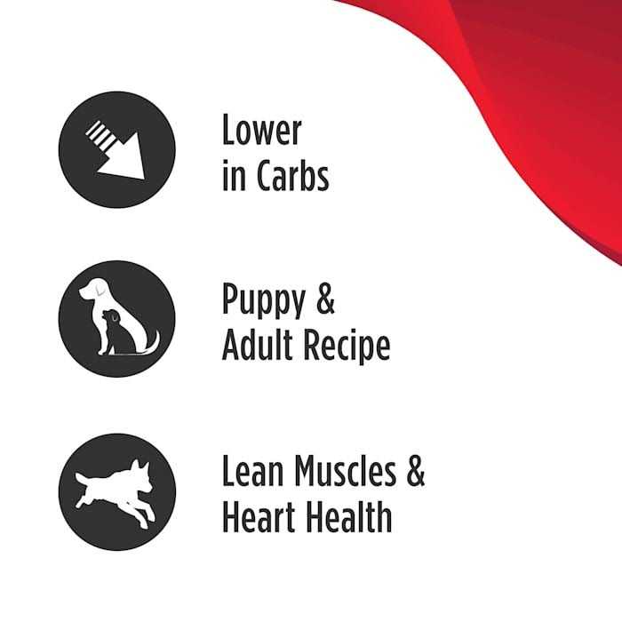 Turkey Small Breed Adult Dry Dog Food W2826