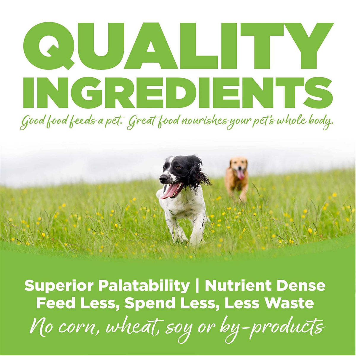 Chicken Weight Management Dry Dog Food F949386