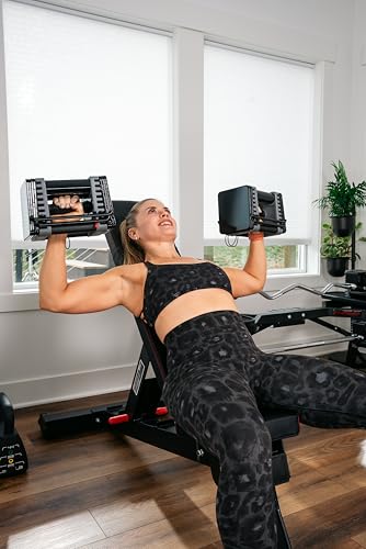 Adjustable Weight Bench, 7 Positions, Built-in Wheels & Handle B500780