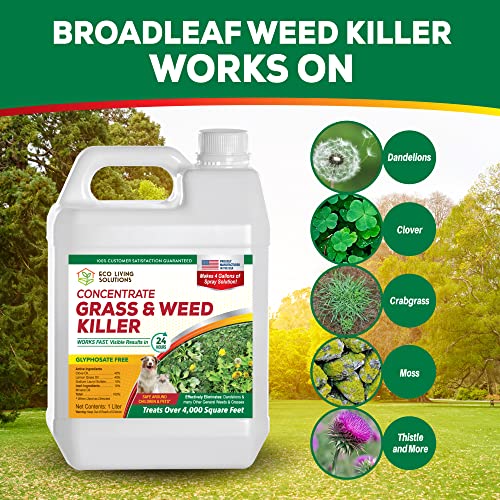 Weed Killer Concentrate E587912