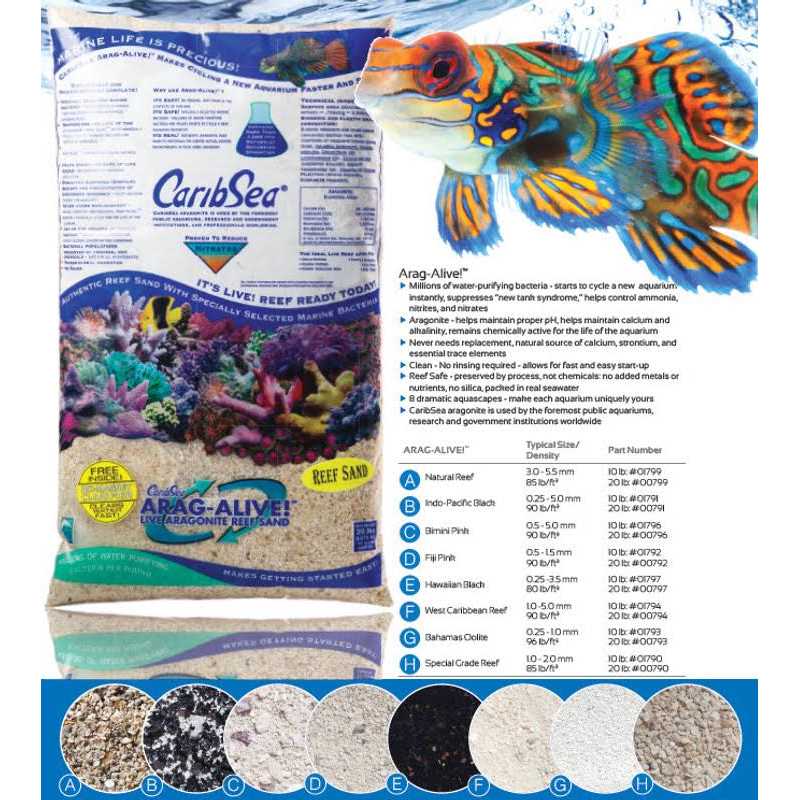 Special Grade Reef Sand P336043