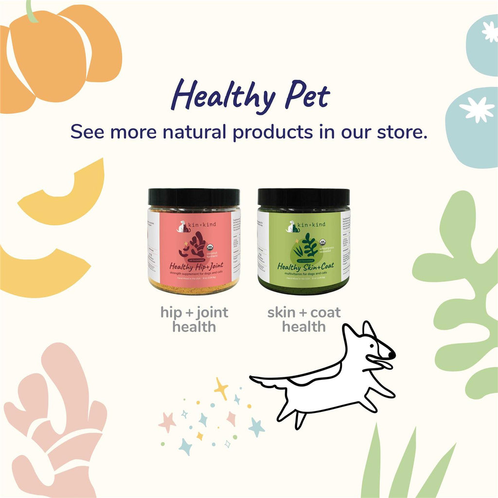 Healthy Immunity for Dogs and Cats U999