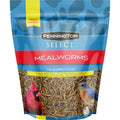 Mealworms Wild Bird Food K9488