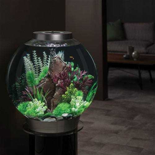 Classic 60 Aquarium with LED N477754