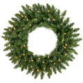 24 Inch Camdon Fir Wreath with 50 Clear Lights Q4502