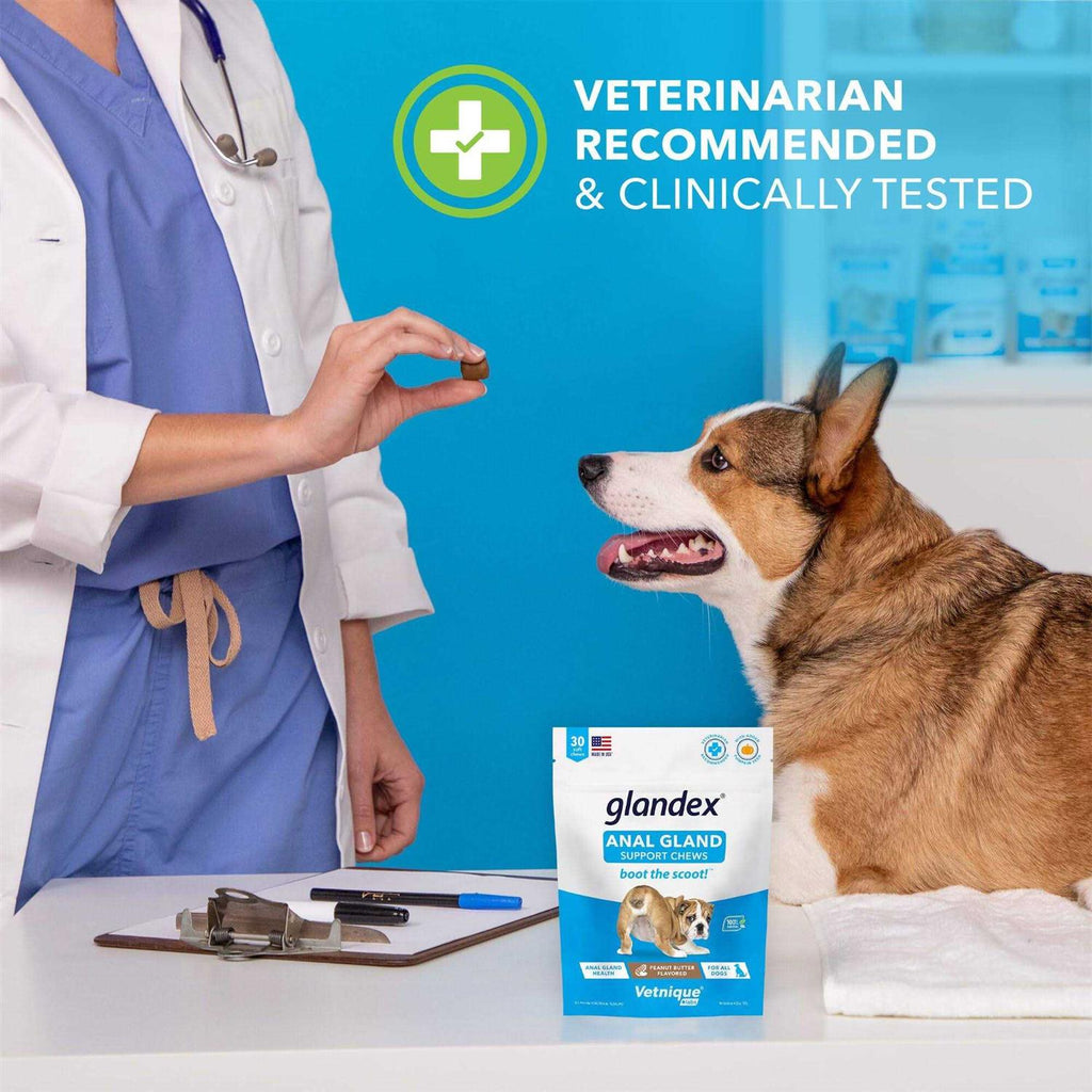 Anal Gland Soft Chews Supplement for Dogs Q284