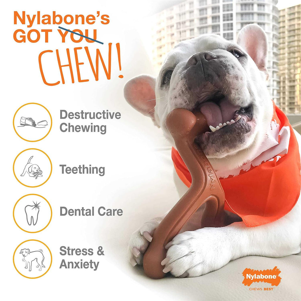 Dog Chew Toy Bundle N9444