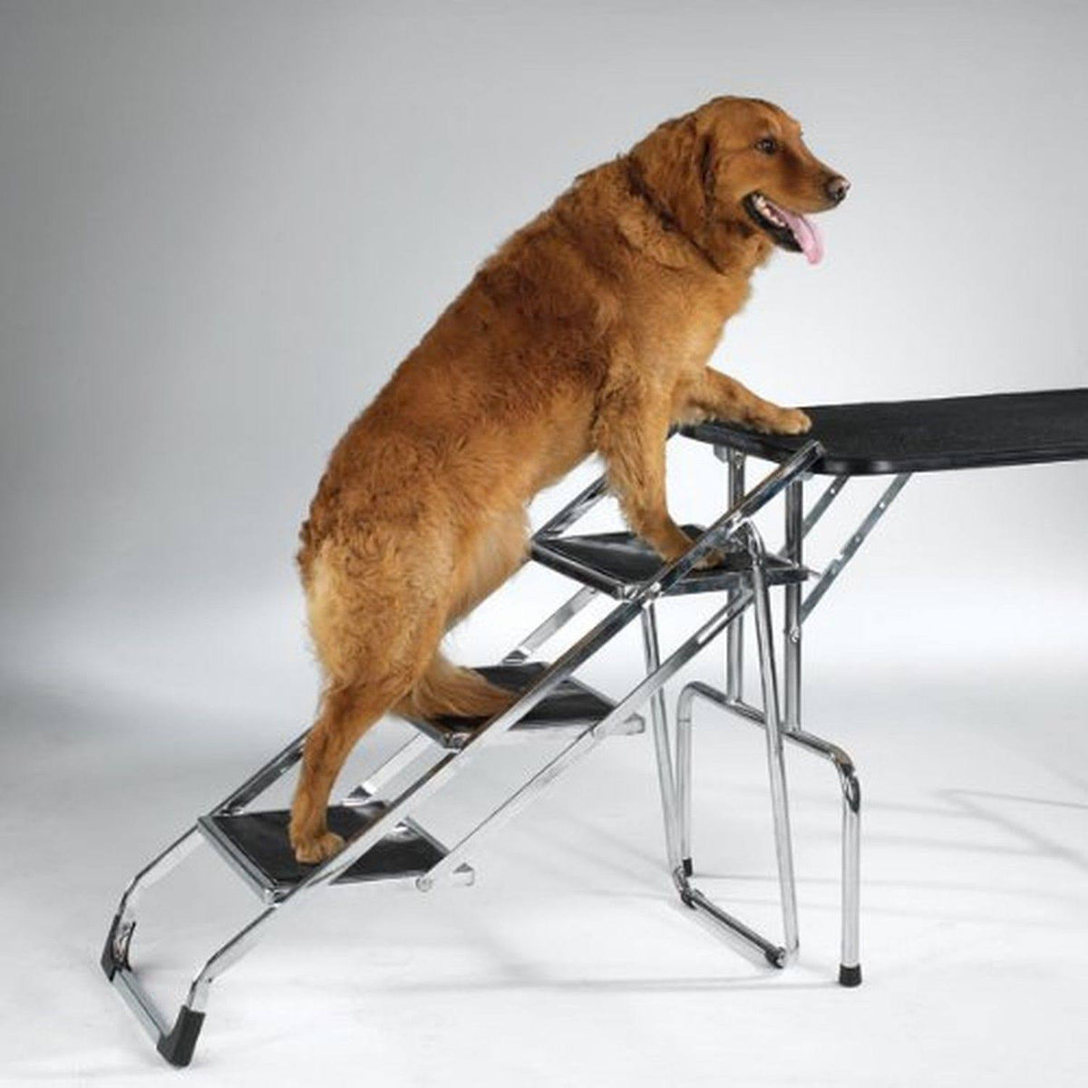 Pet Tub Stairs A29893